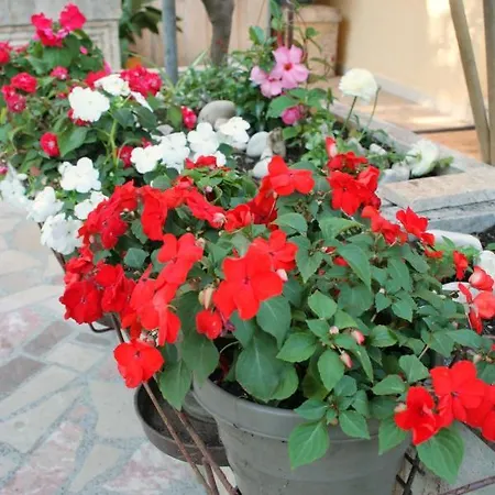 By The Sea Orebic, Peljesac - 275 公寓