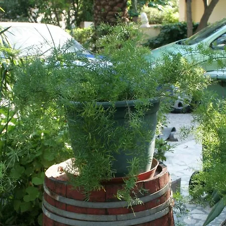 By The Sea Orebic, Peljesac - 275 Lägenhet *