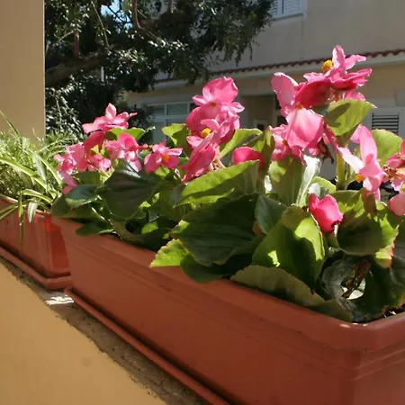 公寓 By The Sea Orebic, Peljesac - 275