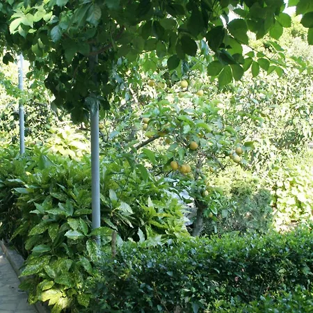 公寓 By The Sea Orebic, Peljesac - 275 *