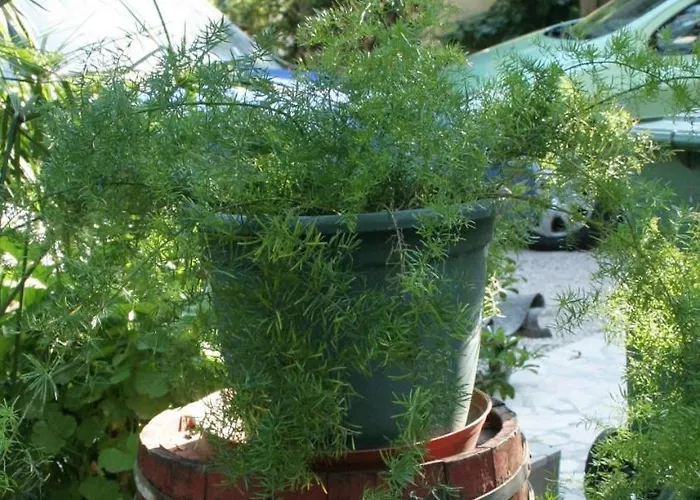 By The Sea Orebic, Peljesac - 275 Apartmán *