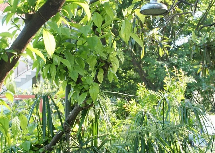 By The Sea Orebic, Peljesac - 275 Apartmán *