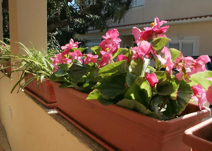 Apartmán By The Sea Orebic, Peljesac - 275