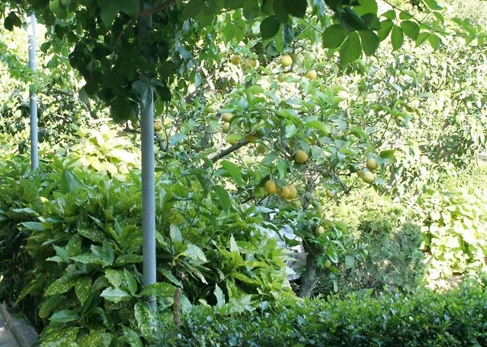 Apartmán By The Sea Orebic, Peljesac - 275 *